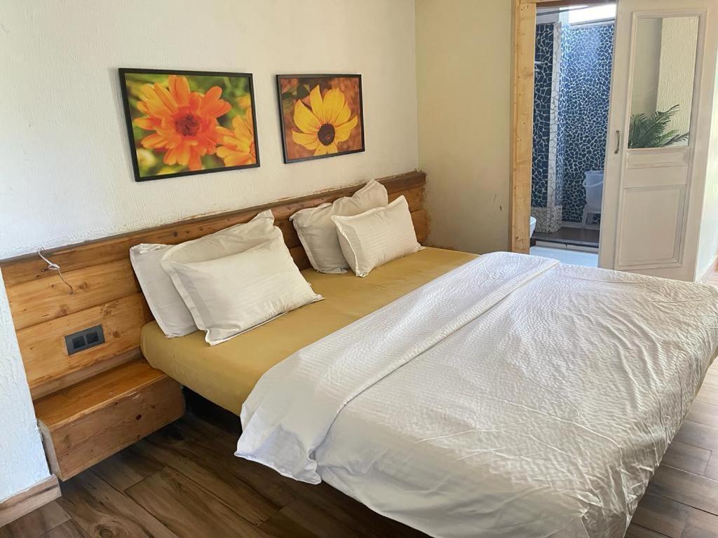 Sunrise Cottage Dagshai Luaran gambar